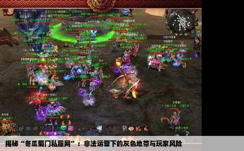 揭秘“冬瓜蜀门私服网”：非法运营下的灰色地带与玩家风险