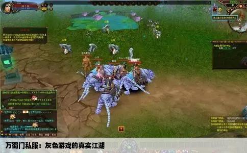 万蜀门私服：灰色游戏的真实江湖