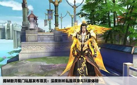 揭秘新开蜀门私服发布首页：深度剖析私服现象与玩家体验