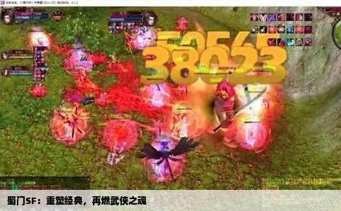 蜀门SF：重塑经典，再燃武侠之魂