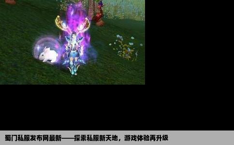 蜀门私服发布网最新——探索私服新天地，游戏体验再升级