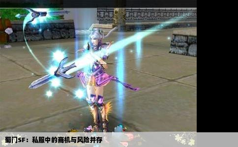 蜀门SF：私服中的商机与风险并存