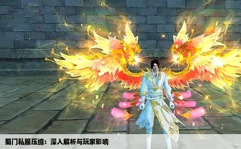 蜀门私服压缩：深入解析与玩家影响
