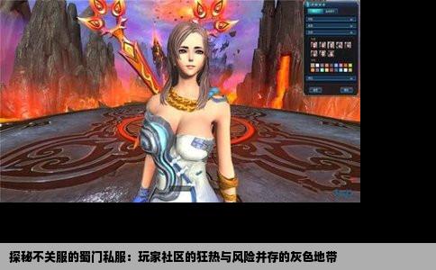 探秘不关服的蜀门私服：玩家社区的狂热与风险并存的灰色地带