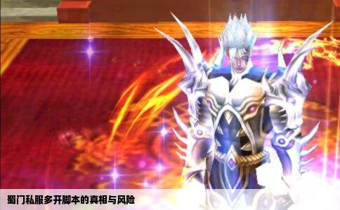 蜀门私服多开脚本的真相与风险