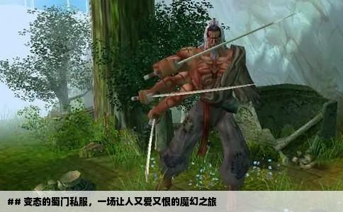## 变态的蜀门私服，一场让人又爱又恨的魔幻之旅