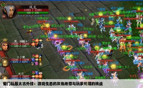 蜀门私服太古外挂：游戏生态的灰色地带与玩家伦理的挑战